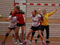 IMG 5177