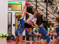 IMG 4281
