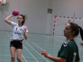 IMG 6261