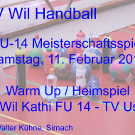 2017 02 11 fu 14 i   001