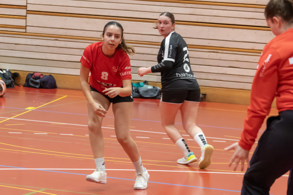 DY4A1120 Verbessert RR