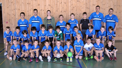 2013 Moskitos
